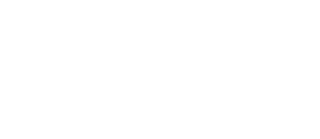 NPL Partnership Logo - Body Action Gym in Bedfordview
